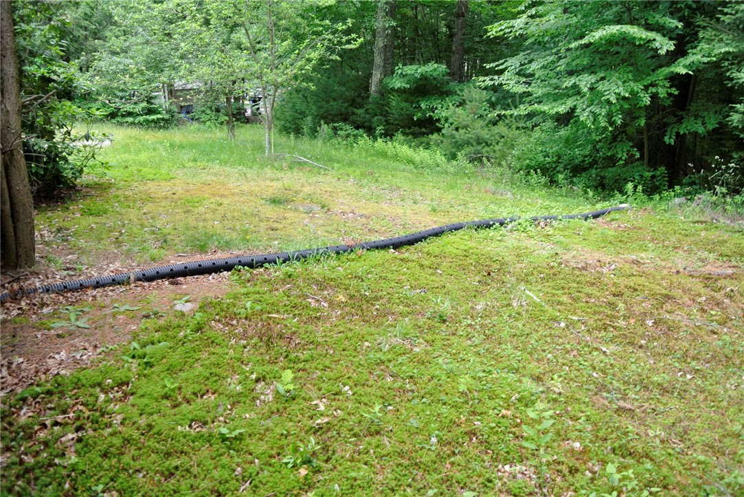 105 Fenner Hill Road Hopkinton, RI 02832 - Photo 3 of 17