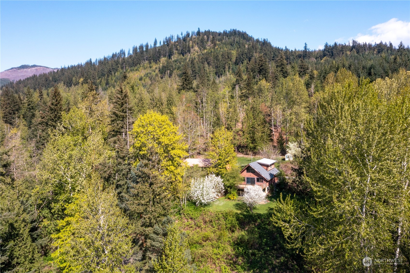 6402 Goodwin Road Everson, WA 98247 - Photo 36 of 39 a view of a bunch of trees and bushes