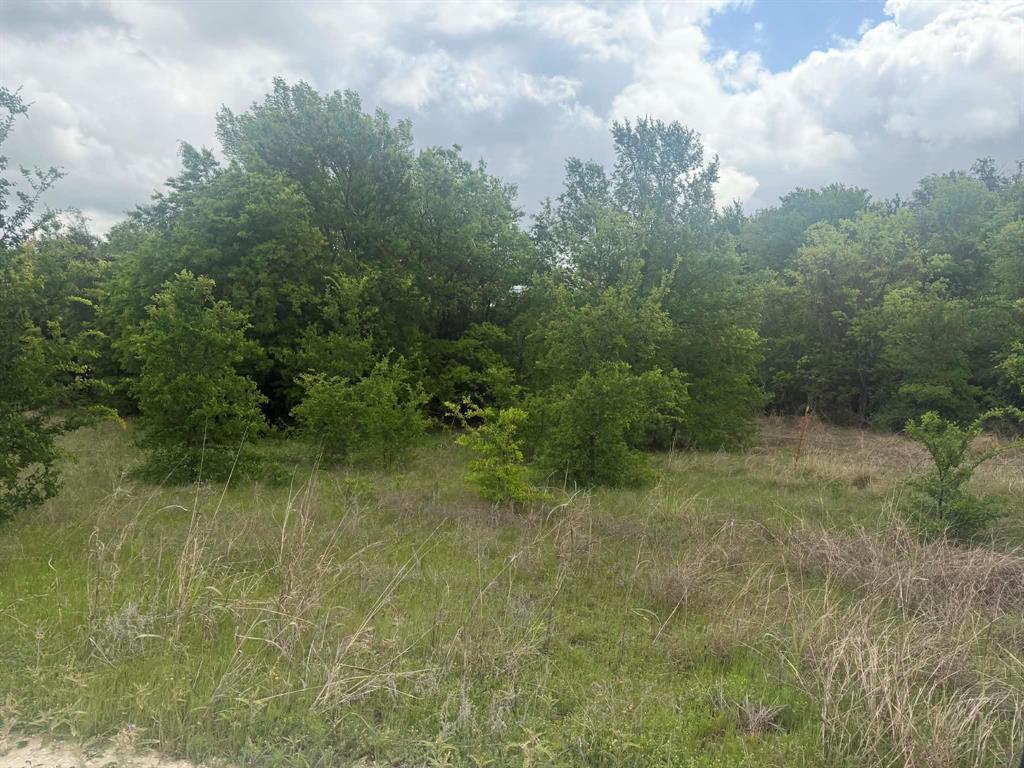 1085 Highland Circle Springtown, TX 76082 - Photo 24 of 29 lots of trees and green space!
