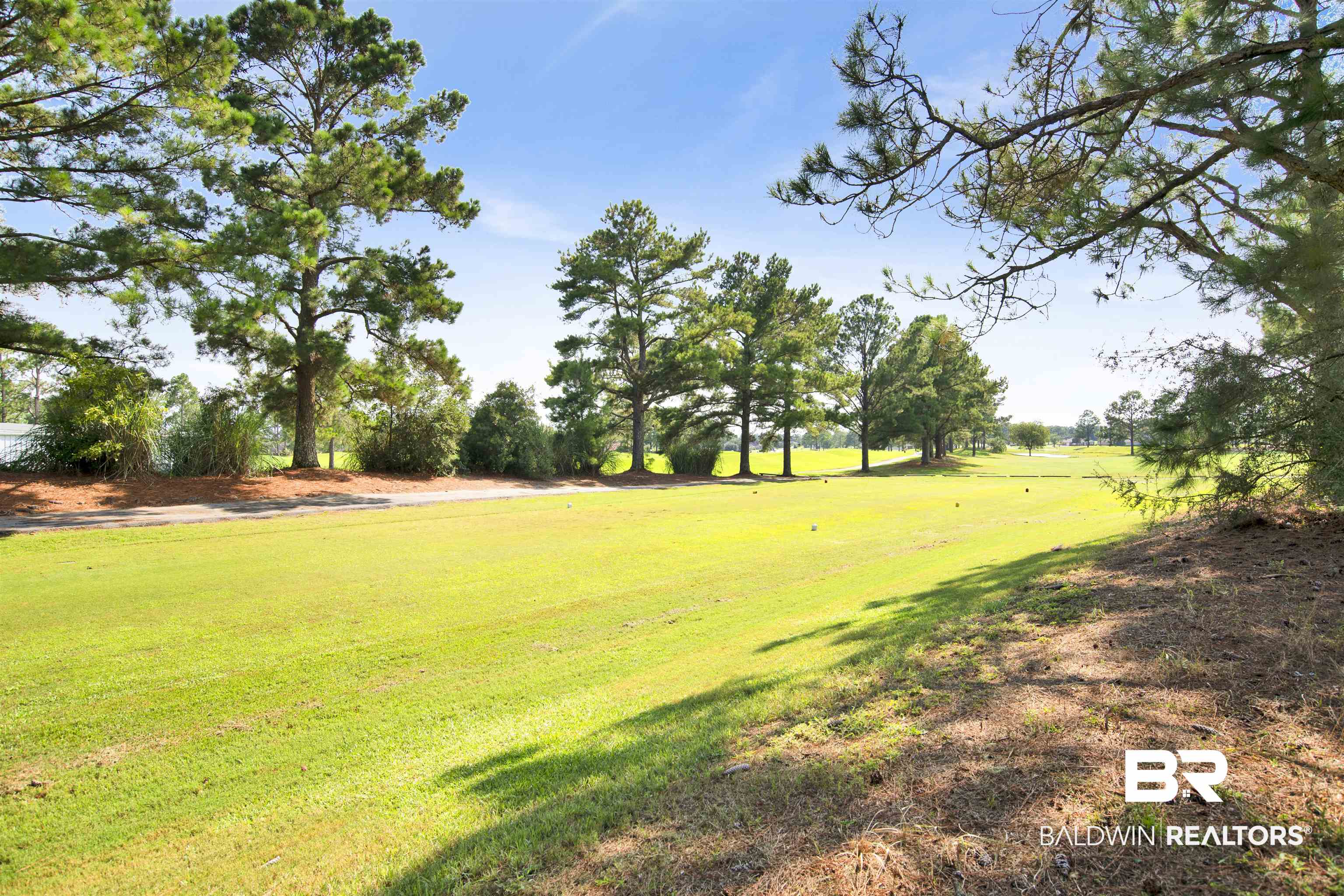 23014 Carnoustie Drive Foley, AL 36535 - Photo 44 of 49 View of green lawn