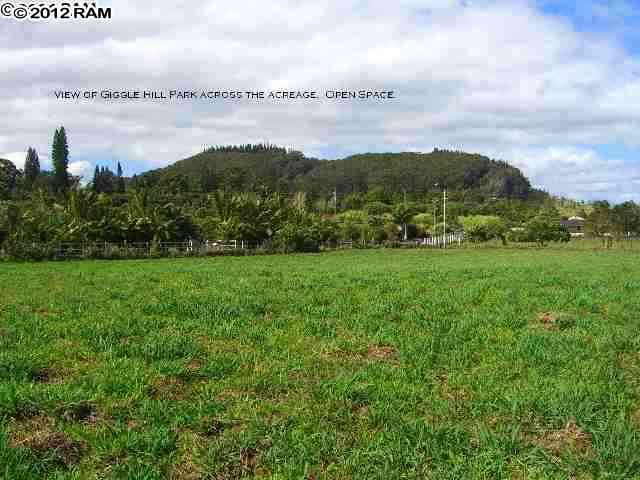 1539 Hog Back Road Haiku, HI 96708 - Photo 1 of 5 a view of a city