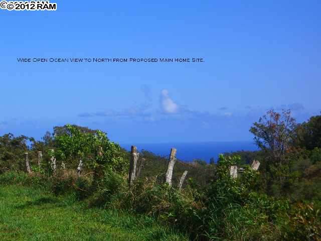 1539 Hog Back Road Haiku, HI 96708 - Photo 4 of 5 a view of a field