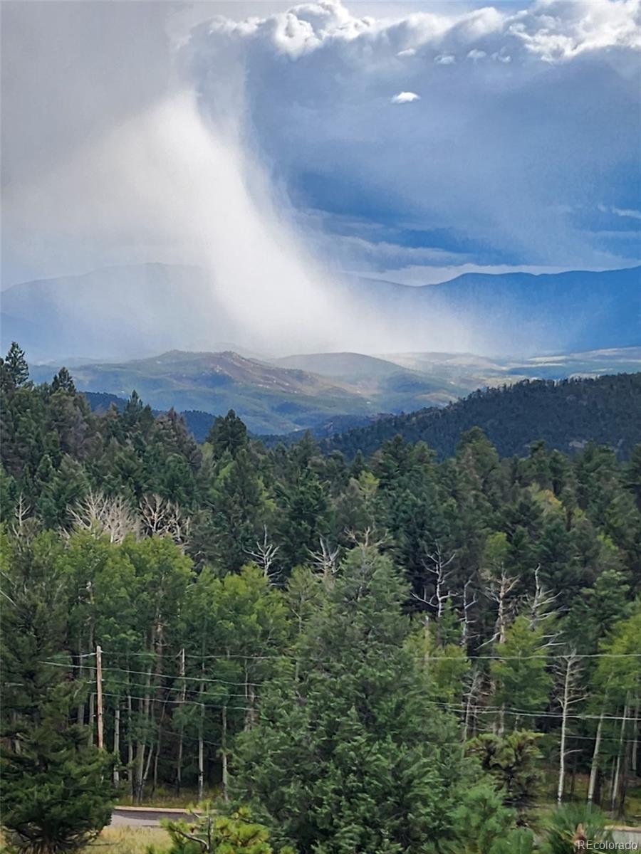13108 Elsie Road Conifer, CO 80433 - Photo 17 of 49 Gallery Image 17