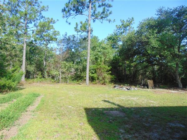 1051 Hinote Road DeFuniak Springs, FL 32433 - Photo 35 of 39 a view of a grassy field with trees in the background