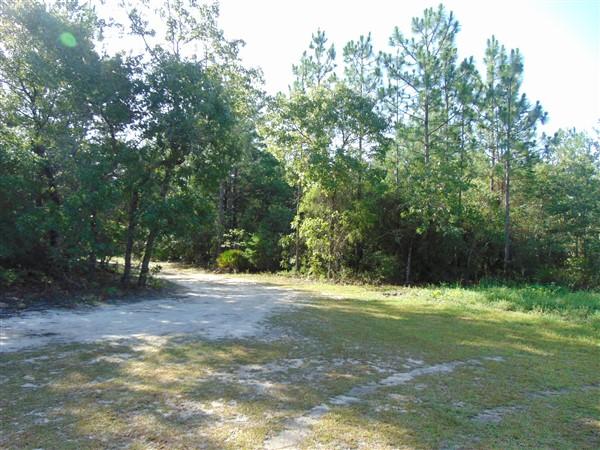 1051 Hinote Road DeFuniak Springs, FL 32433 - Photo 37 of 39 a view of a field with trees in the background