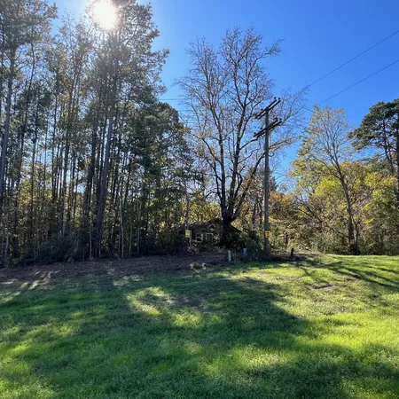 a view of a backyard with large trees