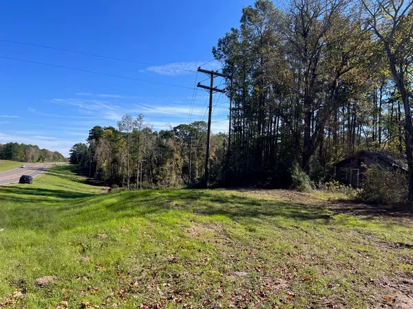 a view of a field with an trees