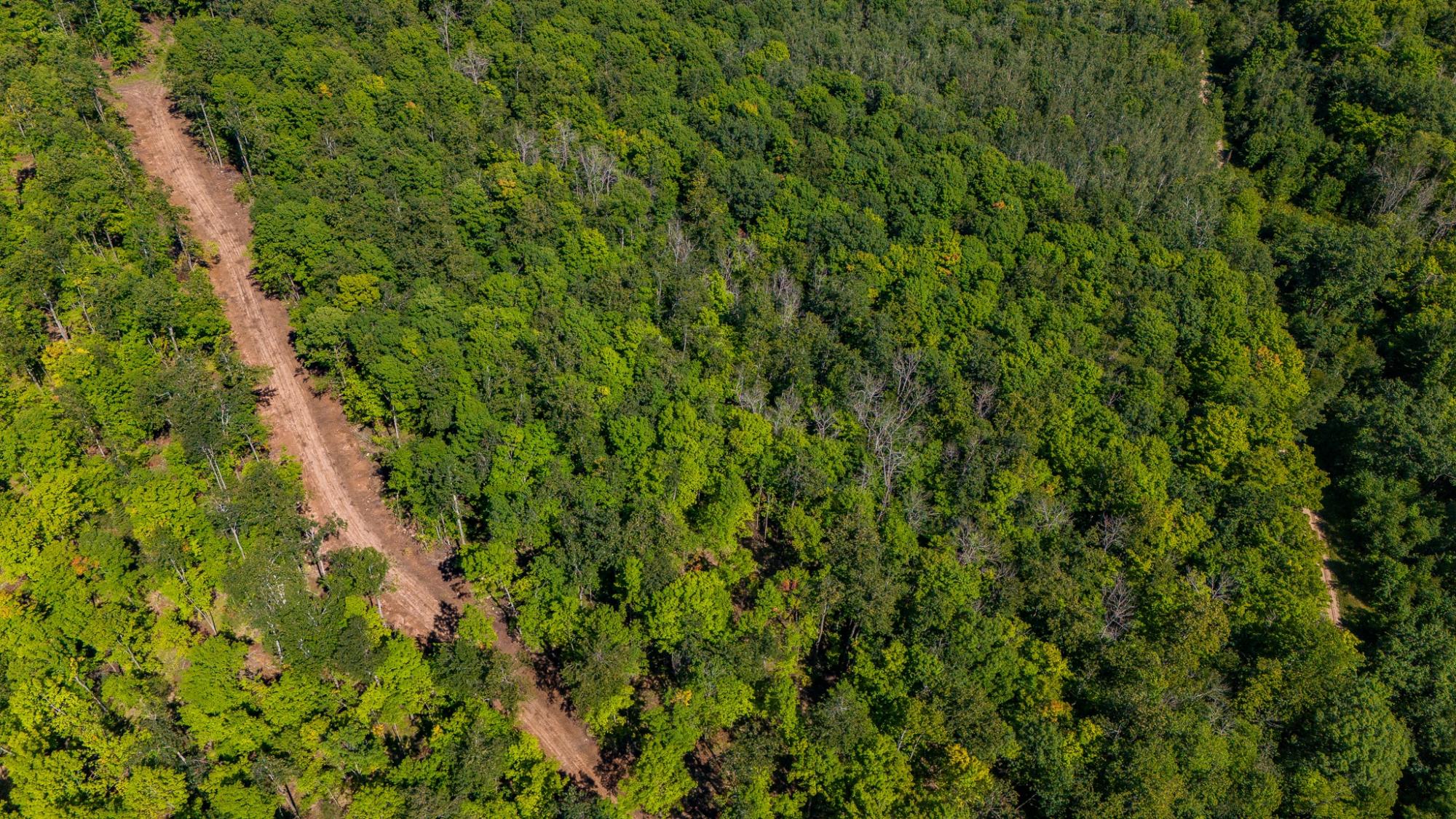 40-acres Ison Road Crandon, WI 54520 - Photo 19 of 31 Gallery Image 19