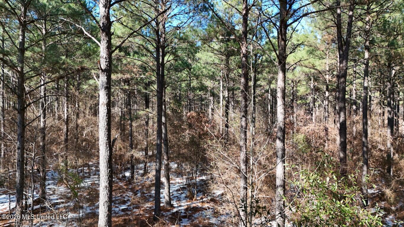 Debutte Road Bastrop, LA 71220 - Photo 13 of 28 DJI_20260202134822_0140_D (Medium)