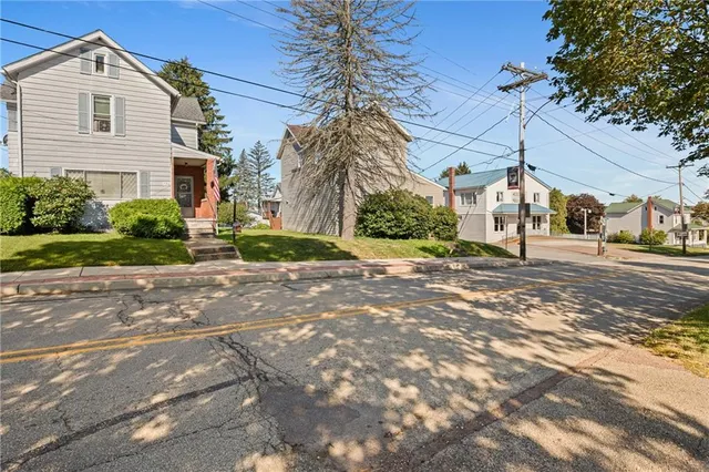 a view of a garden with plants