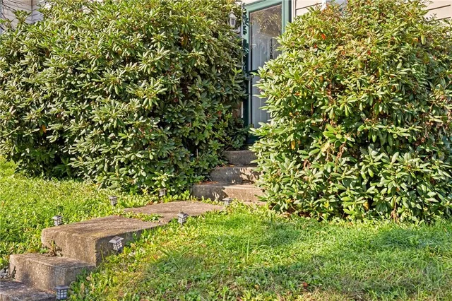 a plant that is in front of a house