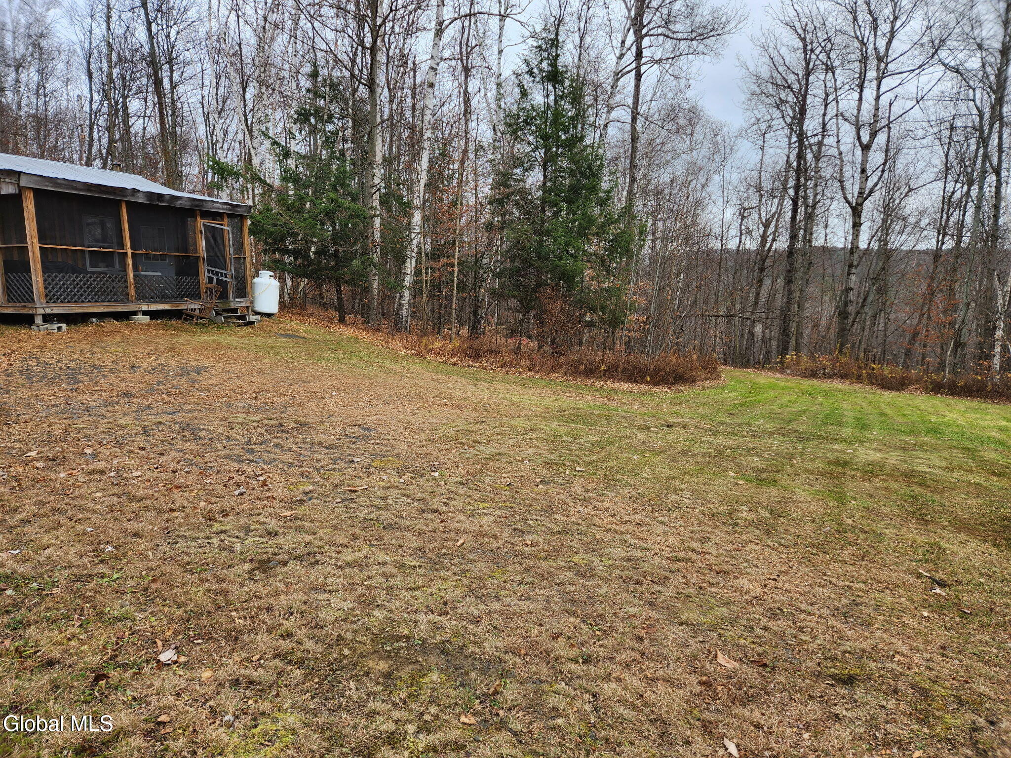 frontyard