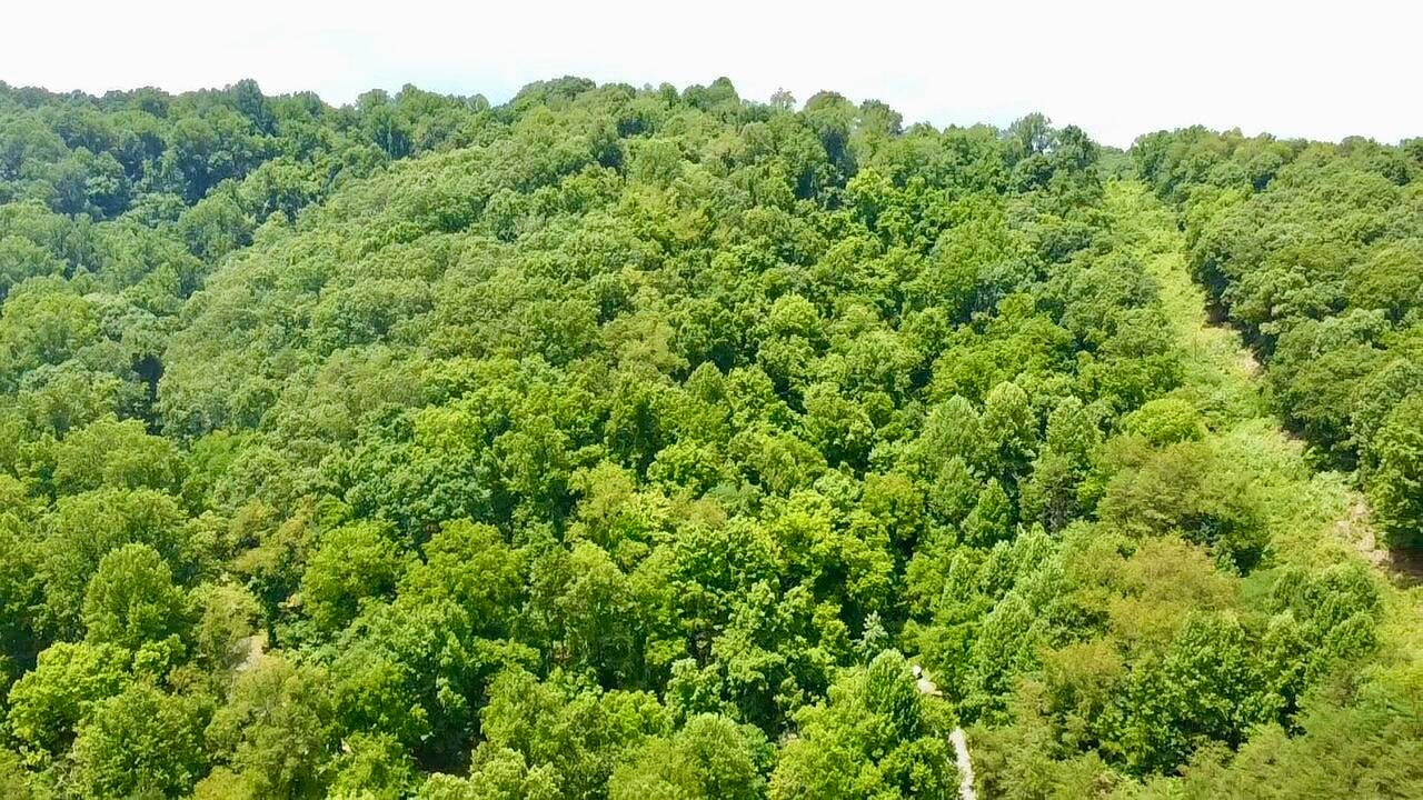 Mountain Road Peterstown, WV 24963 - Photo 1 of 11 Gallery Image 1