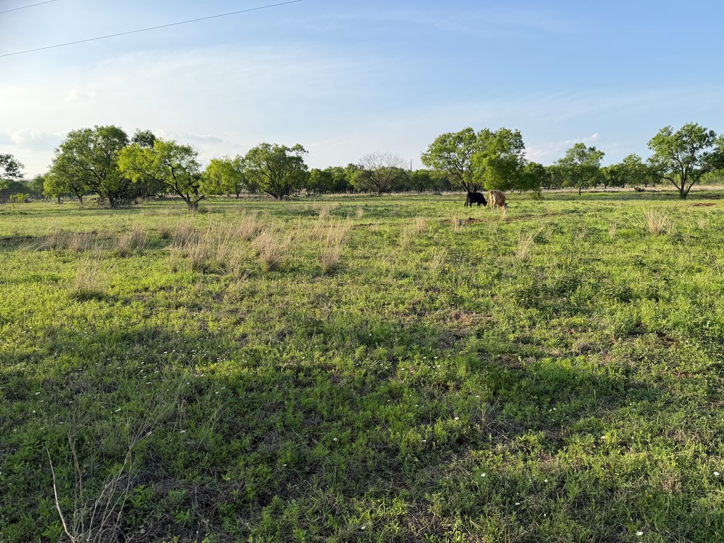 406 Airport Road Mason, TX 76856 - Photo 10 of 11 Gallery Image 10