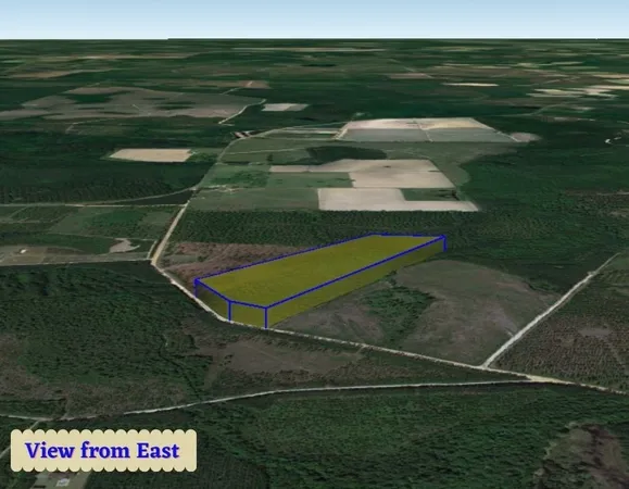 $55,000 | 82 West Old 122 Hwy Manor, Millwood, GA 31552