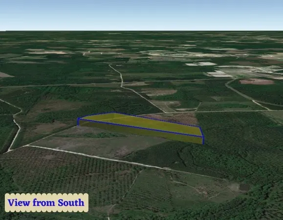 $55,000 | 82 West Old 122 Hwy Manor, Millwood, GA 31552