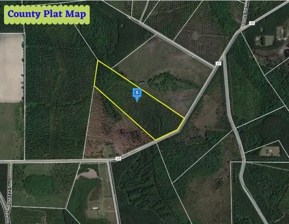 $55,000 | 82 West Old 122 Hwy Manor, Millwood, GA 31552