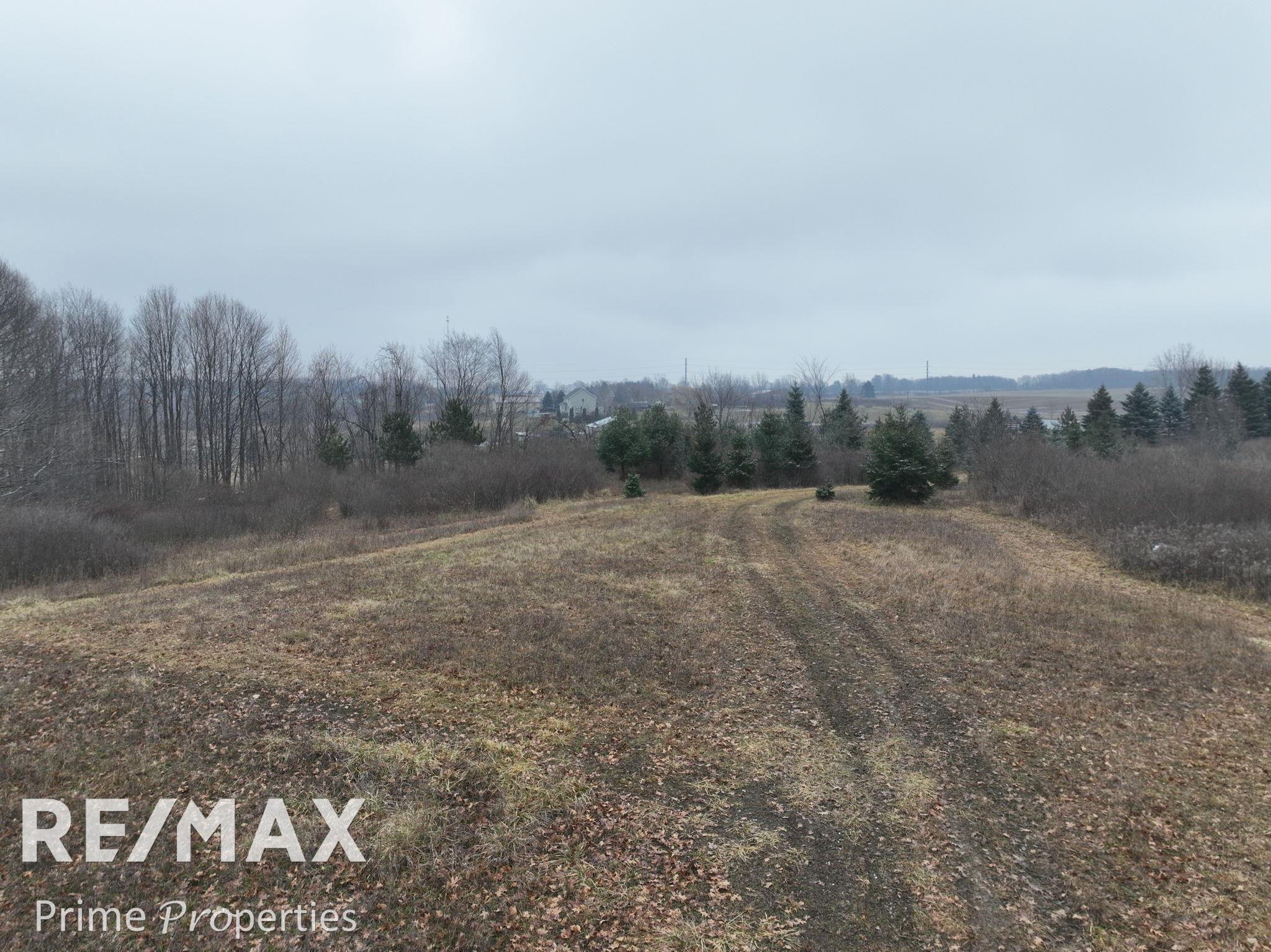 0 West Brown Road Mayville, MI 48744 - Photo 8 of 23 50131060-554a088c-8101-4a9e-ae77-e9fae7f05cf0.JPG