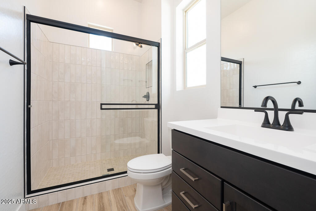 800 West J. Waltz Way Apache Junction, AZ 85120 - Photo 19 of 22 a bathroom with a sink a toilet and a mirror