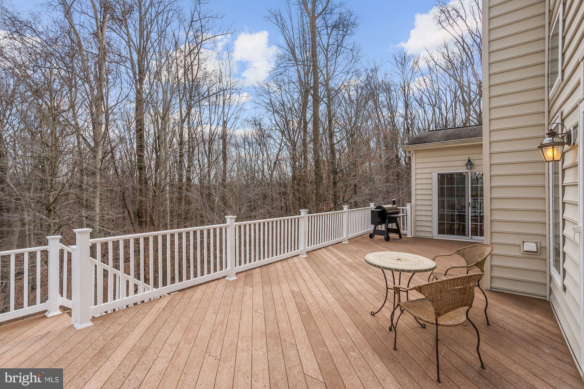 8055 High Castle Road Ellicott City, MD 21043 - Photo 15 of 48 Expansive Trex Deck