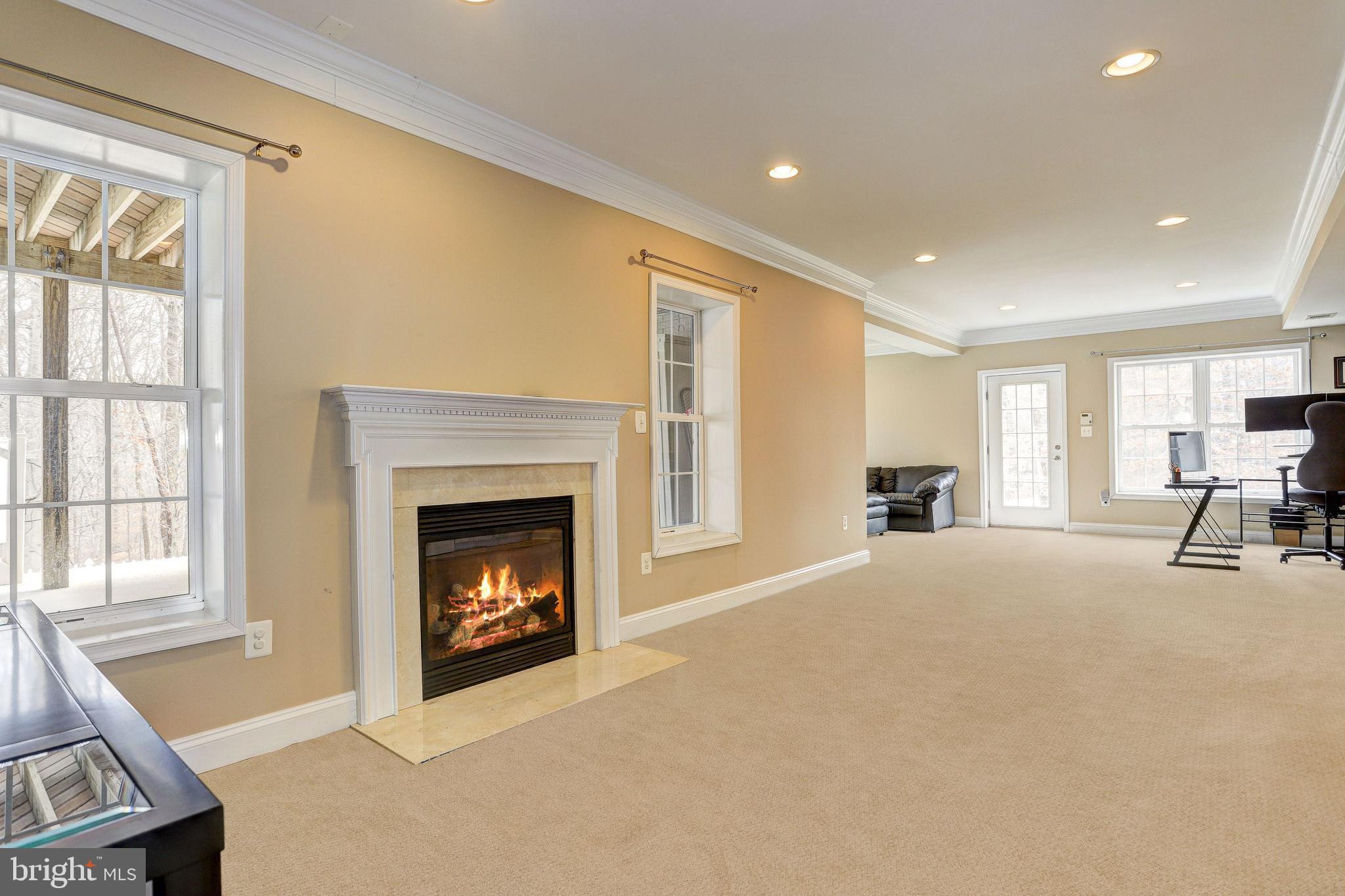 8055 High Castle Road Ellicott City, MD 21043 - Photo 35 of 48 Recreation Room | Fireplace