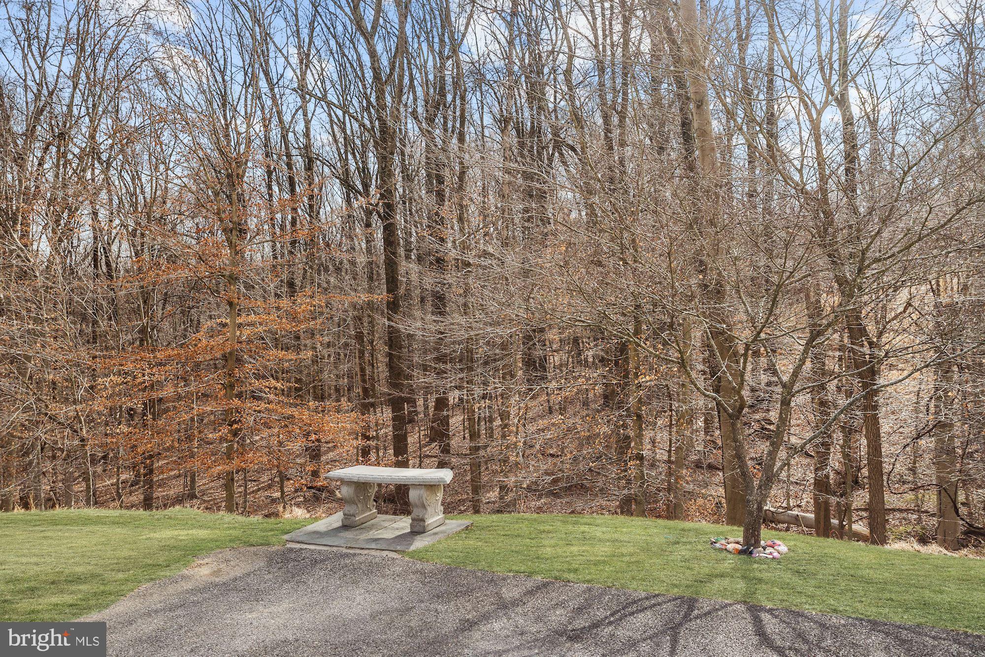 8055 High Castle Road Ellicott City, MD 21043 - Photo 40 of 48 Scenic View