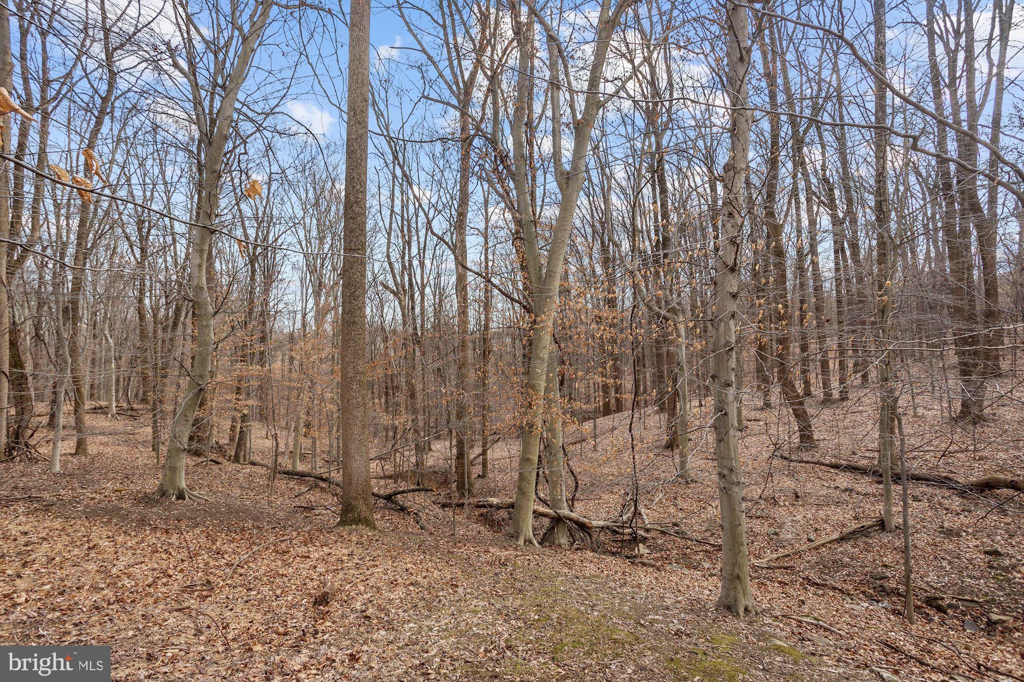 8055 High Castle Road Ellicott City, MD 21043 - Photo 41 of 48 Scenic View