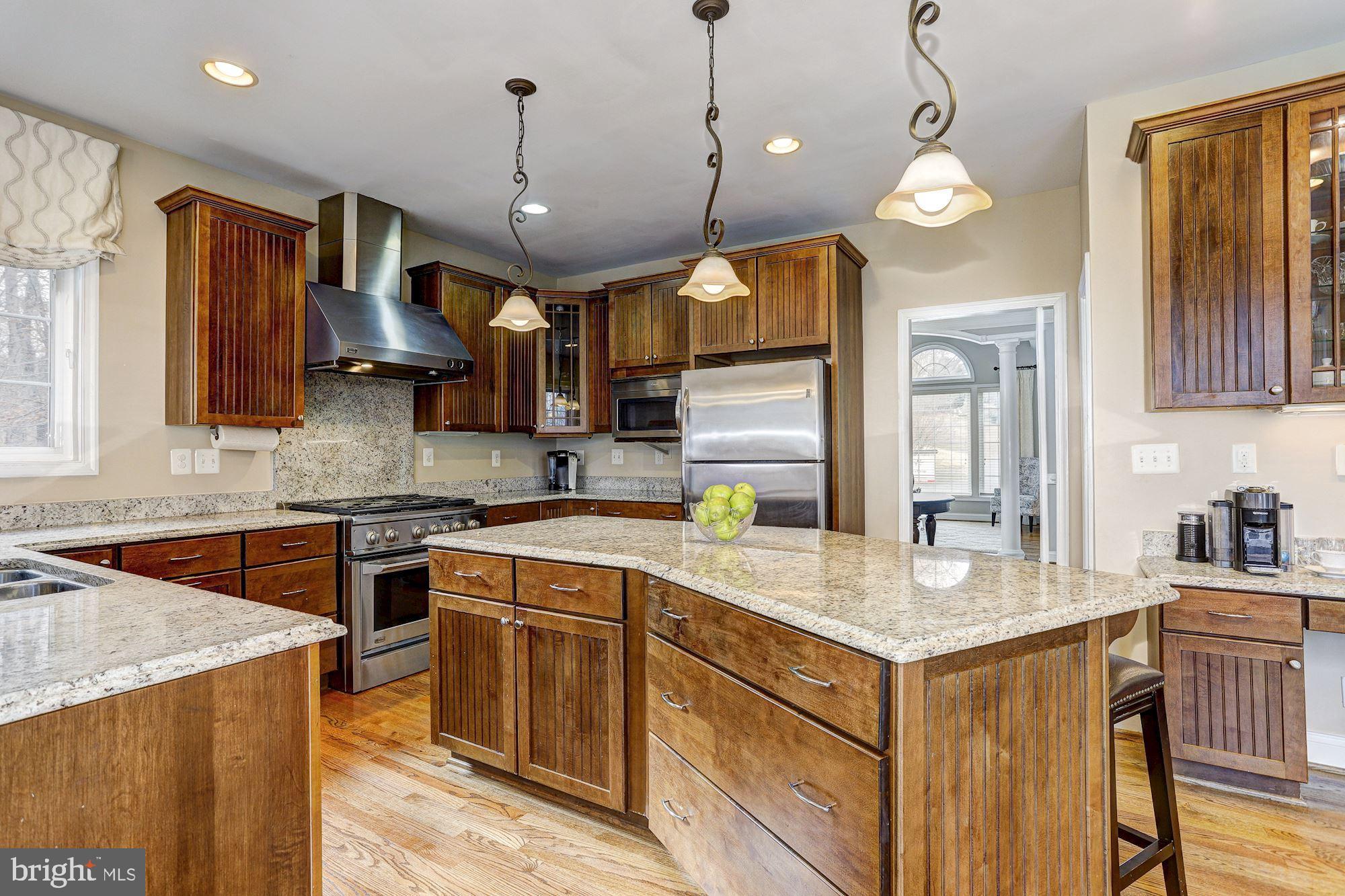 8055 High Castle Road Ellicott City, MD 21043 - Photo 10 of 48 Pendant Lighting