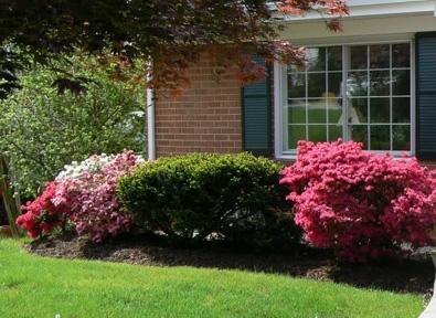 3850 Darlington Road Southwest Roanoke, VA 24018 - Photo 2 of 31 Spring Blooms