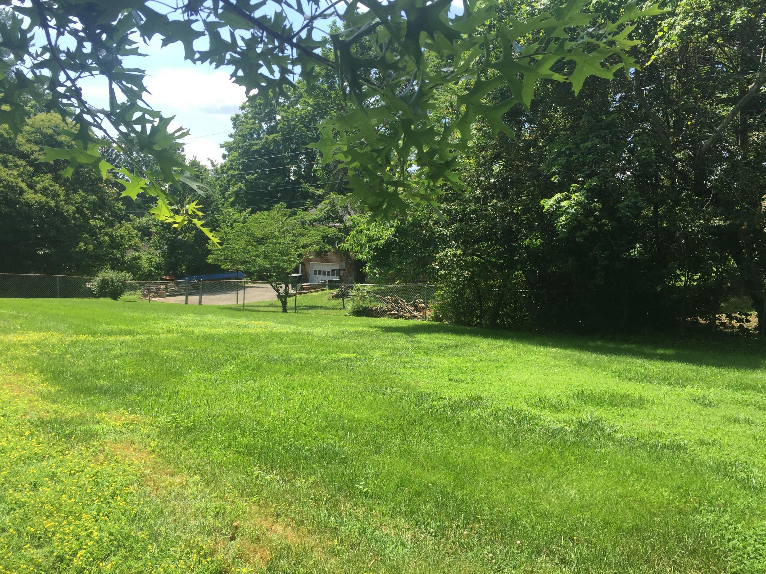 3850 Darlington Road Southwest Roanoke, VA 24018 - Photo 25 of 31 Back Yard
