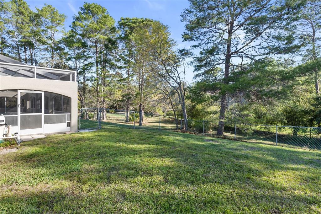 10130 Lazy Days Court Weeki Wachee, FL 34613 - Photo 75 of 85 a view of a house with a big yard and large trees