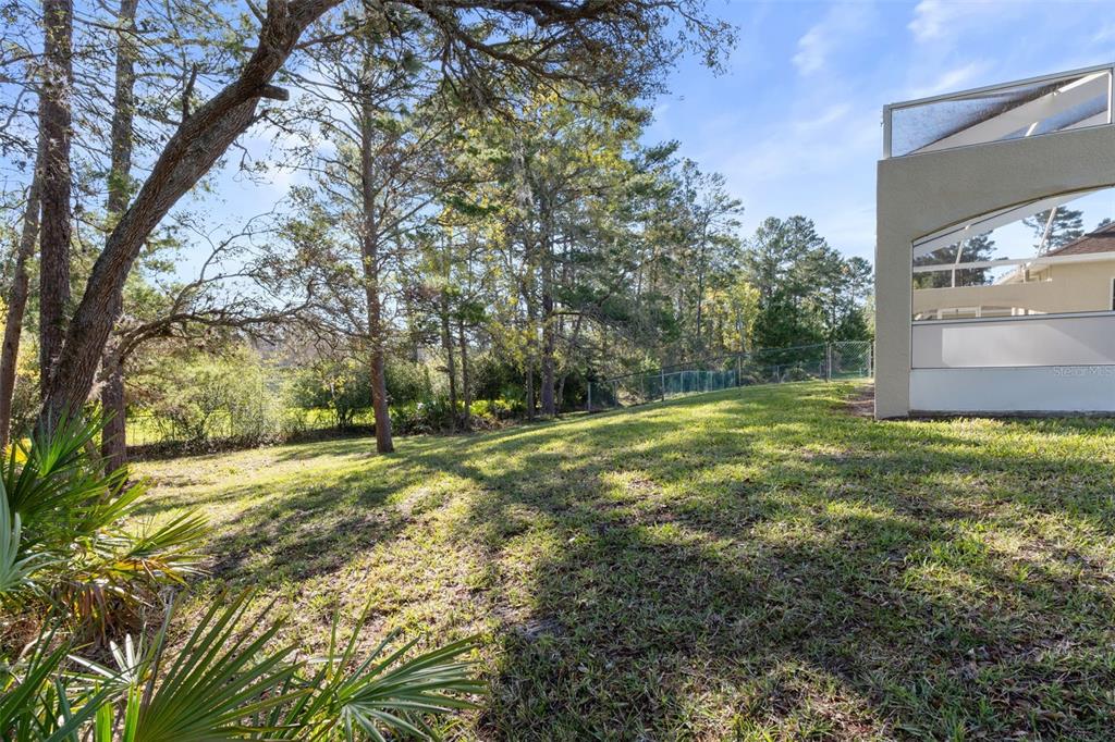 10130 Lazy Days Court Weeki Wachee, FL 34613 - Photo 79 of 85