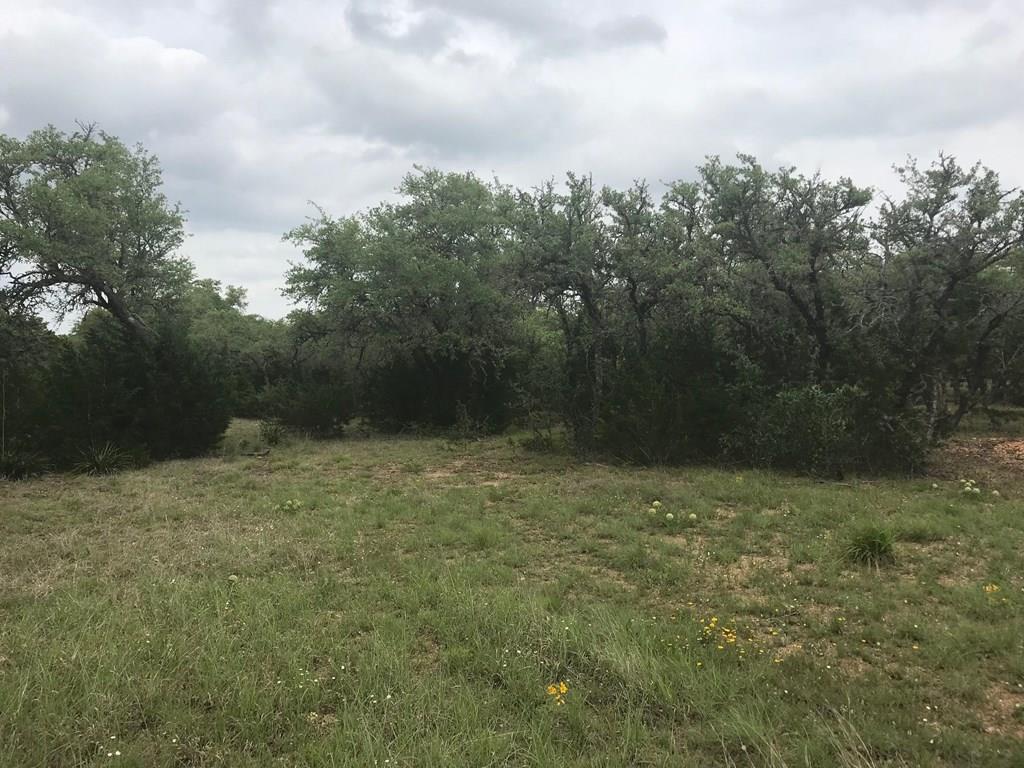 Tbd Rust Ranch Road, Unit 27 Blanco, TX 78606 - Photo 1 of 1 Main View
