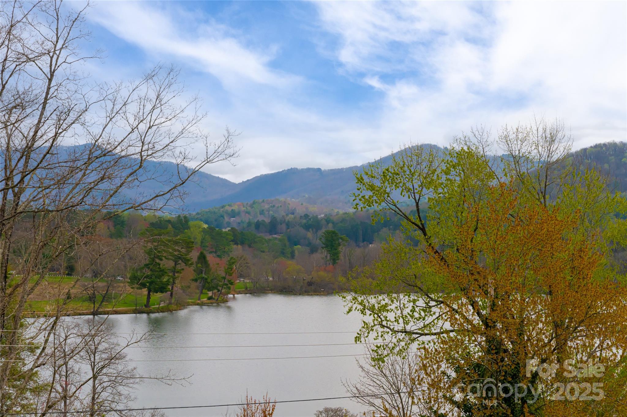 38 Lakeview Road Asheville, NC 28804 - Photo 34 of 35 Gallery Image 34