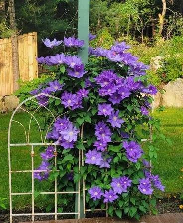 $589,000 | 65 Black Oak Road, Barnstable, MA 02648