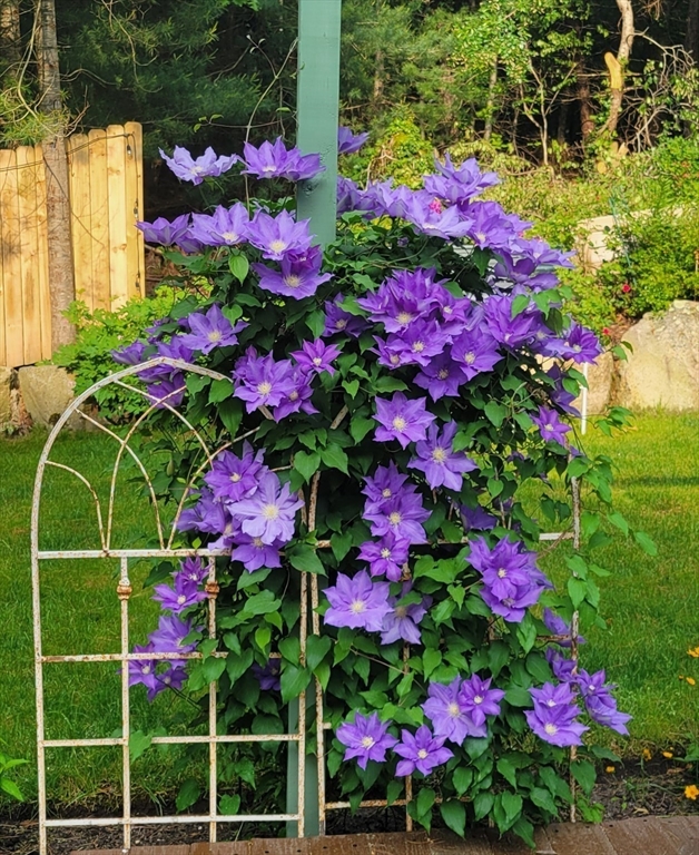 65 Black Oak Road Barnstable, MA 02648 - Photo 40 of 42