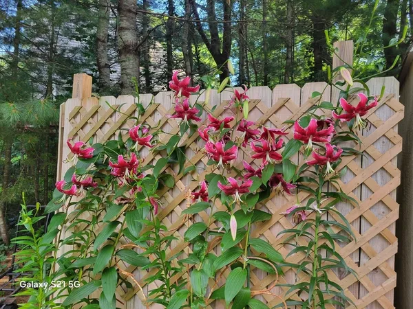 $589,000 | 65 Black Oak Road, Barnstable, MA 02648