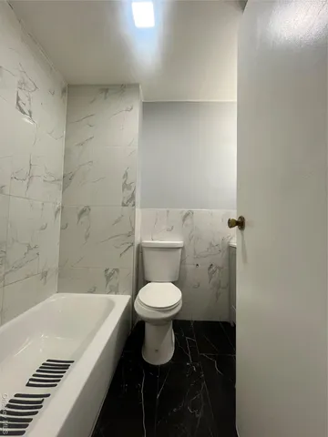 a bathroom with a toilet and a bathtub