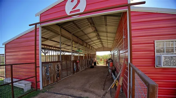 a view of a garden with a tree