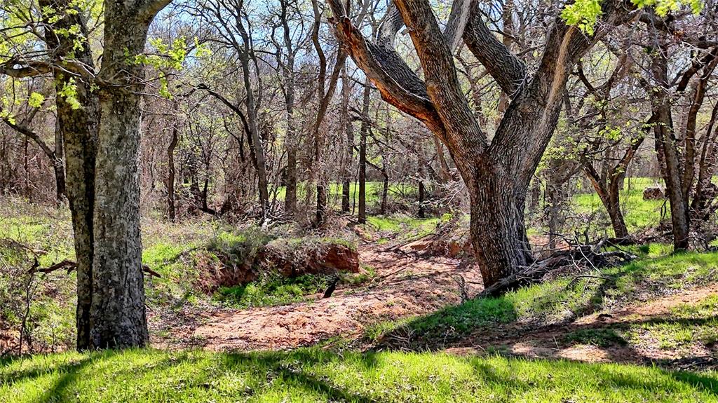 4179 Rock Springs School Road Nocona, TX 76255 - Photo 21 of 25