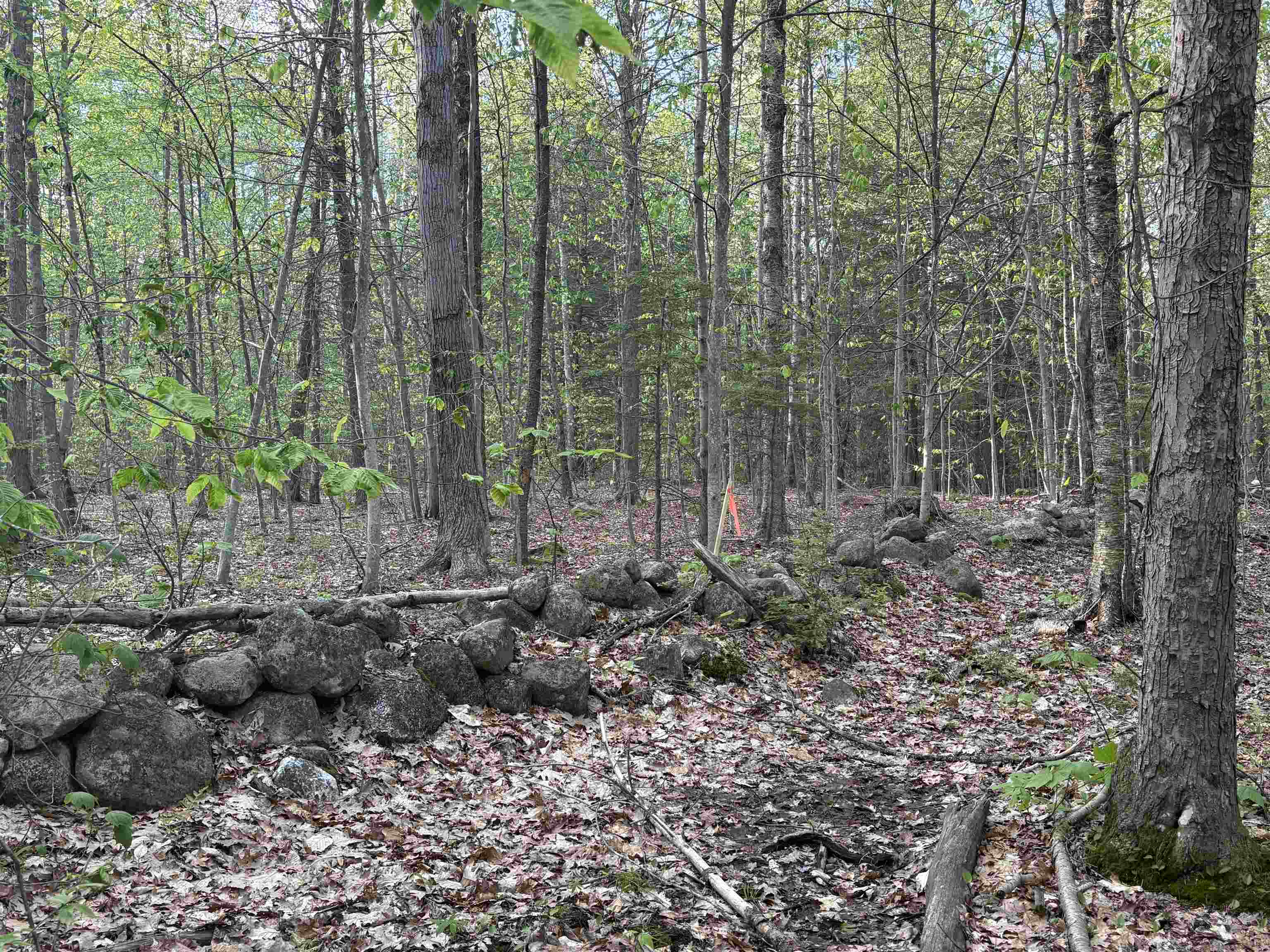 Lot 80 Currier Road Candia, NH 03034 - Photo 9 of 22 Gallery Image 9
