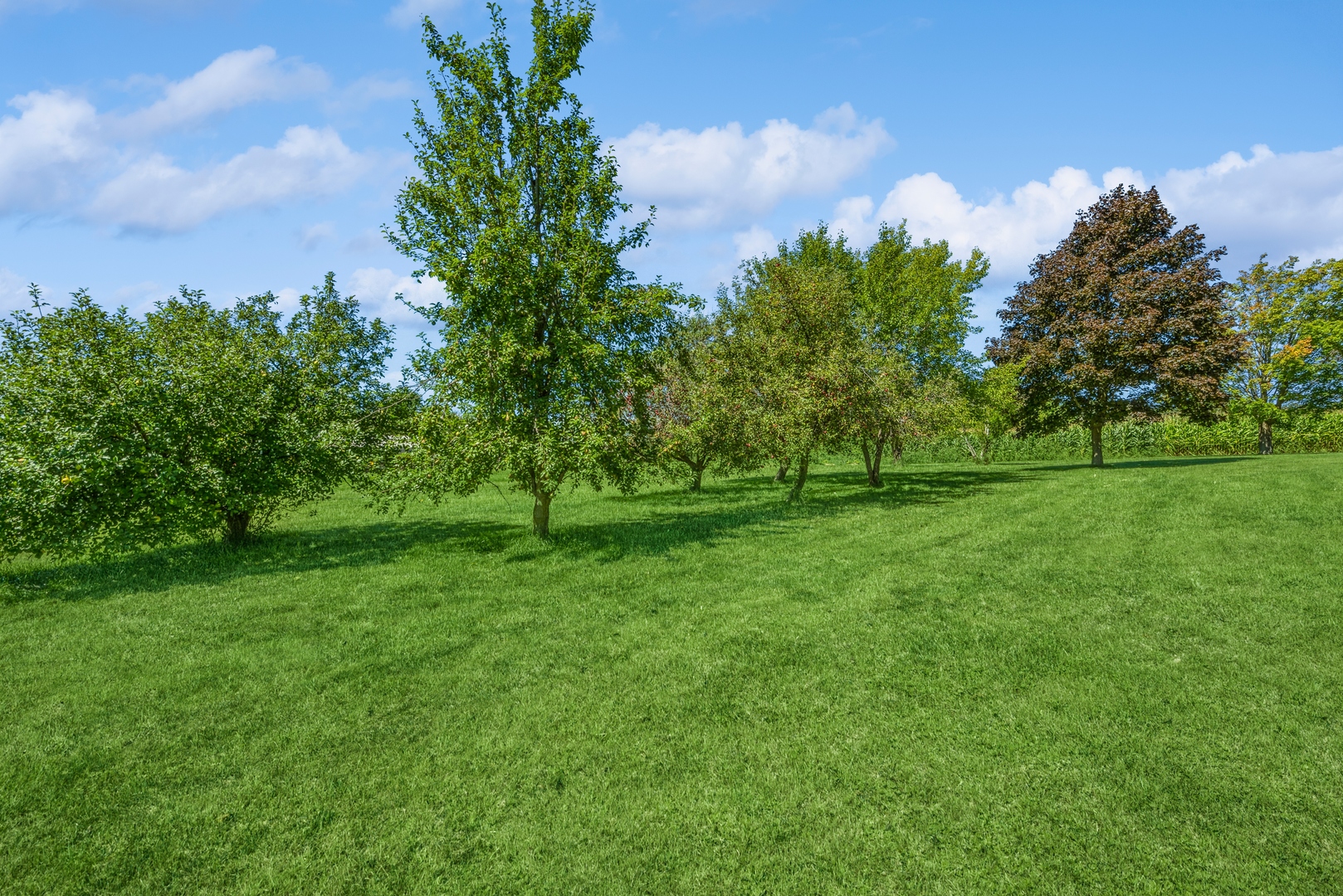 19108 Lincoln Road Harvard, IL 60033 - Photo 5 of 22 a view of grassy field with benches