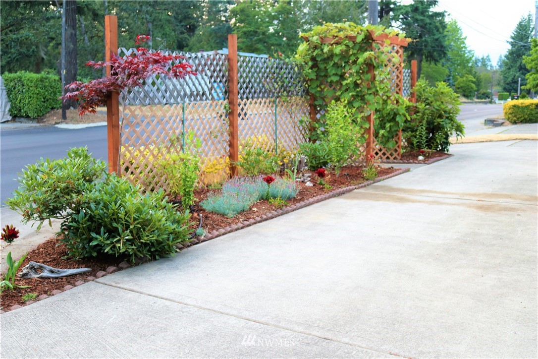 8325 Custer Road Southwest Lakewood, WA 98499 - Photo 20 of 20 a bunch of flowers in front of yellow house