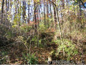 0 Naylor Road, Unit 7 Asheville, NC 28806 - Photo 5 of 7 Gallery Image 5