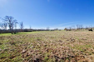 0 Sheets Hollow Road Greenback, TN 37742 - Photo 4 of 10 Gallery Image 4