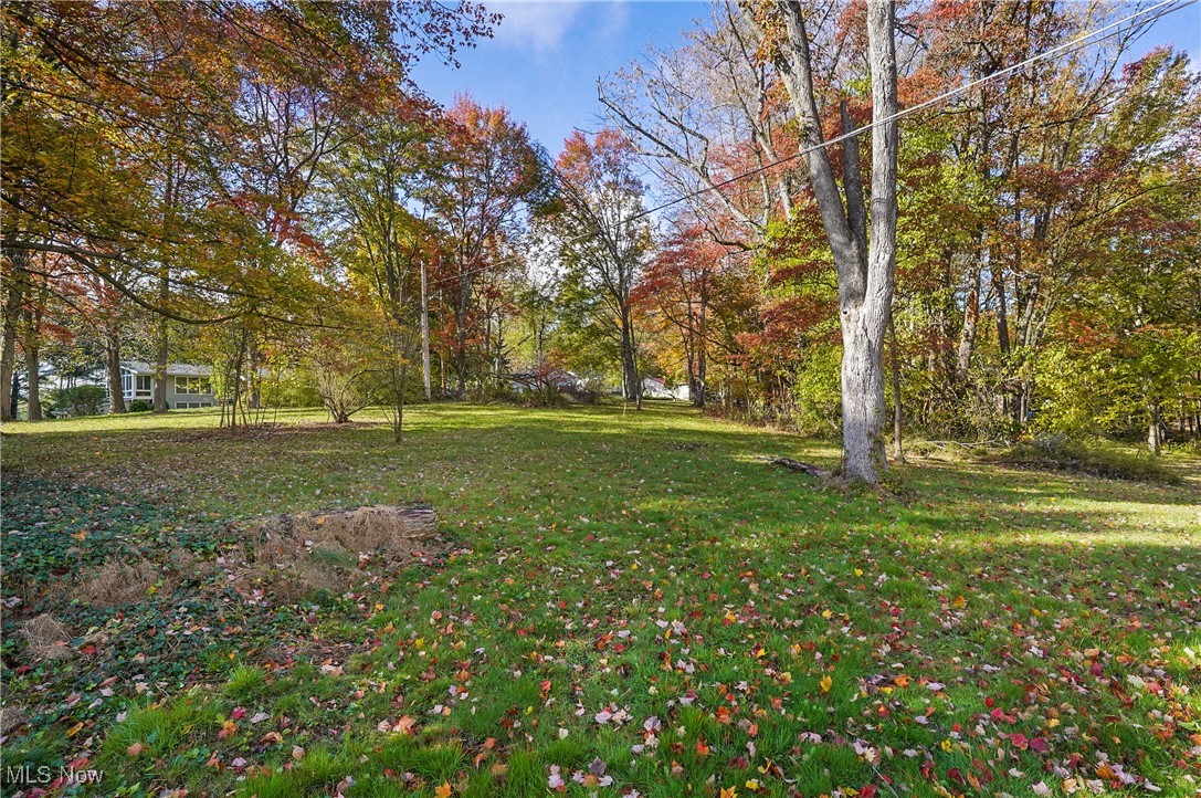 6101 Ridgeview Drive Hanoverton, OH 44423 - Photo 44 of 50 Gallery Image 44