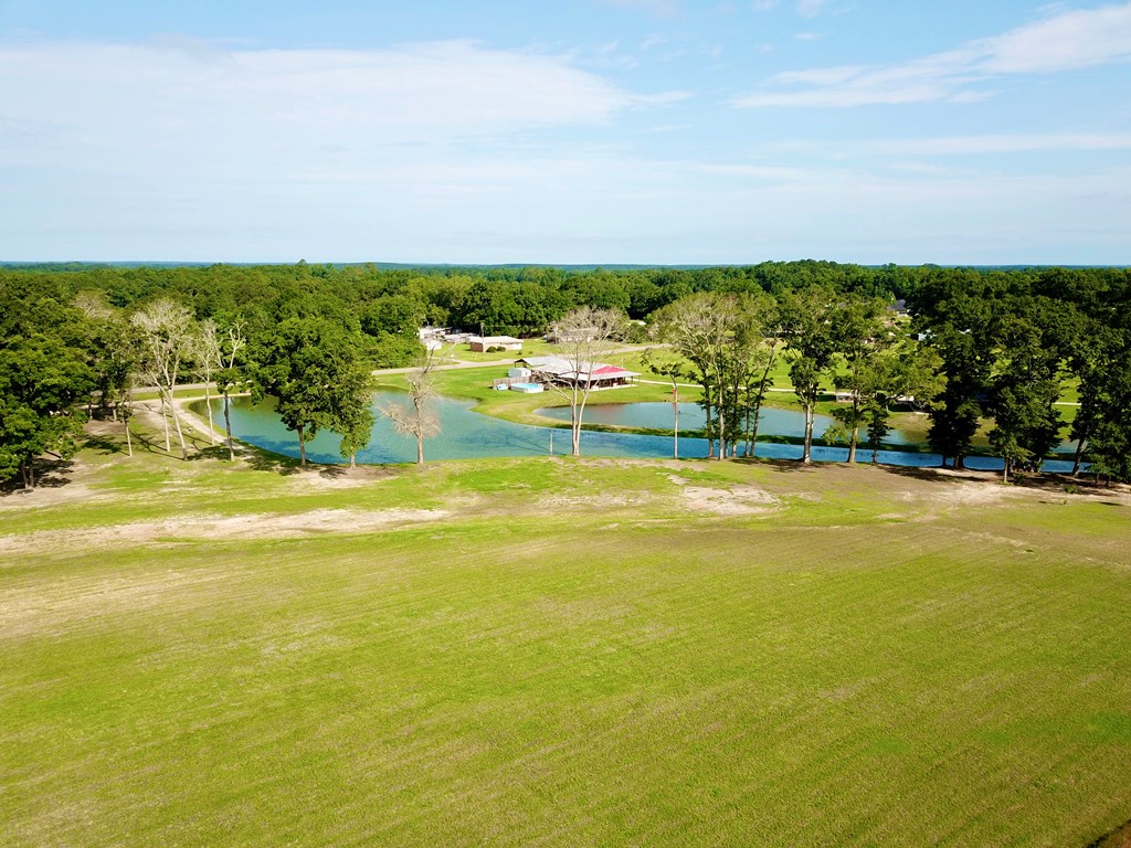 103 Slocomb Al Slocomb, AL 36375 - Photo 24 of 63