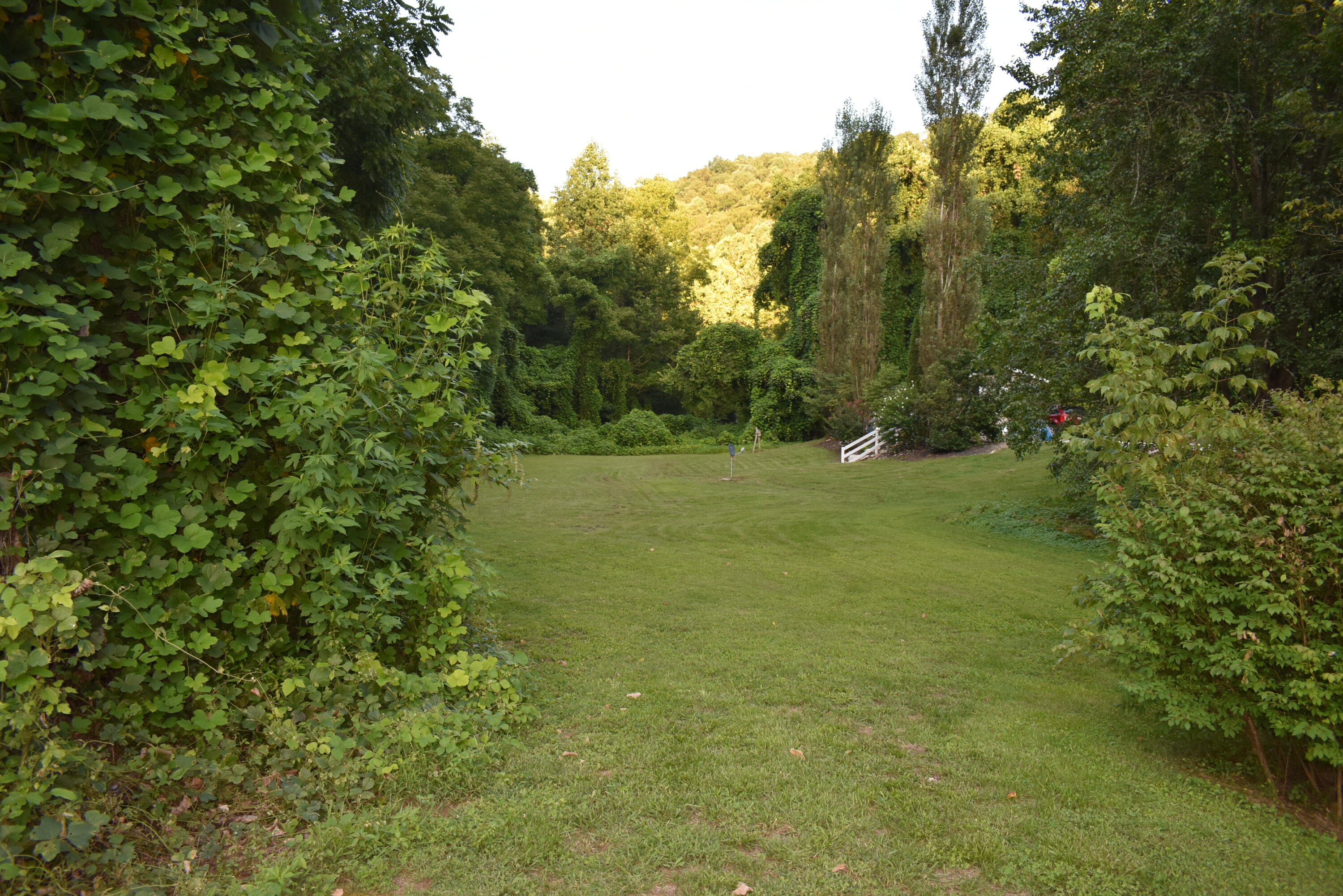 7465 Wagersville Road Irvine, KY 40336 - Photo 11 of 32 DSC_0045