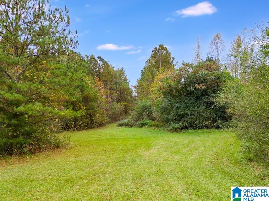 607 County Road 88 Fruithurst, AL 36262 - Photo 8 of 16