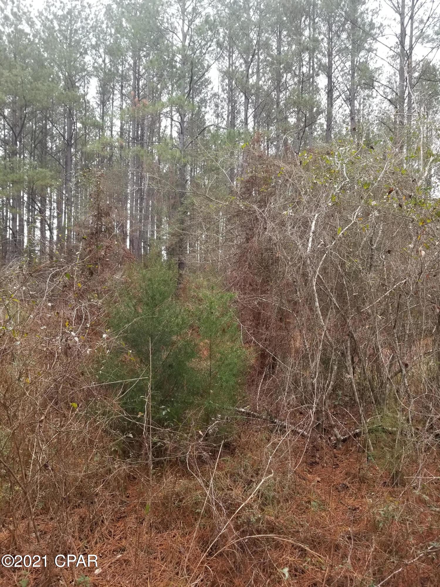 2981 Beall Packing Road Bonifay, FL 32425 - Photo 25 of 38 Gallery Image 25